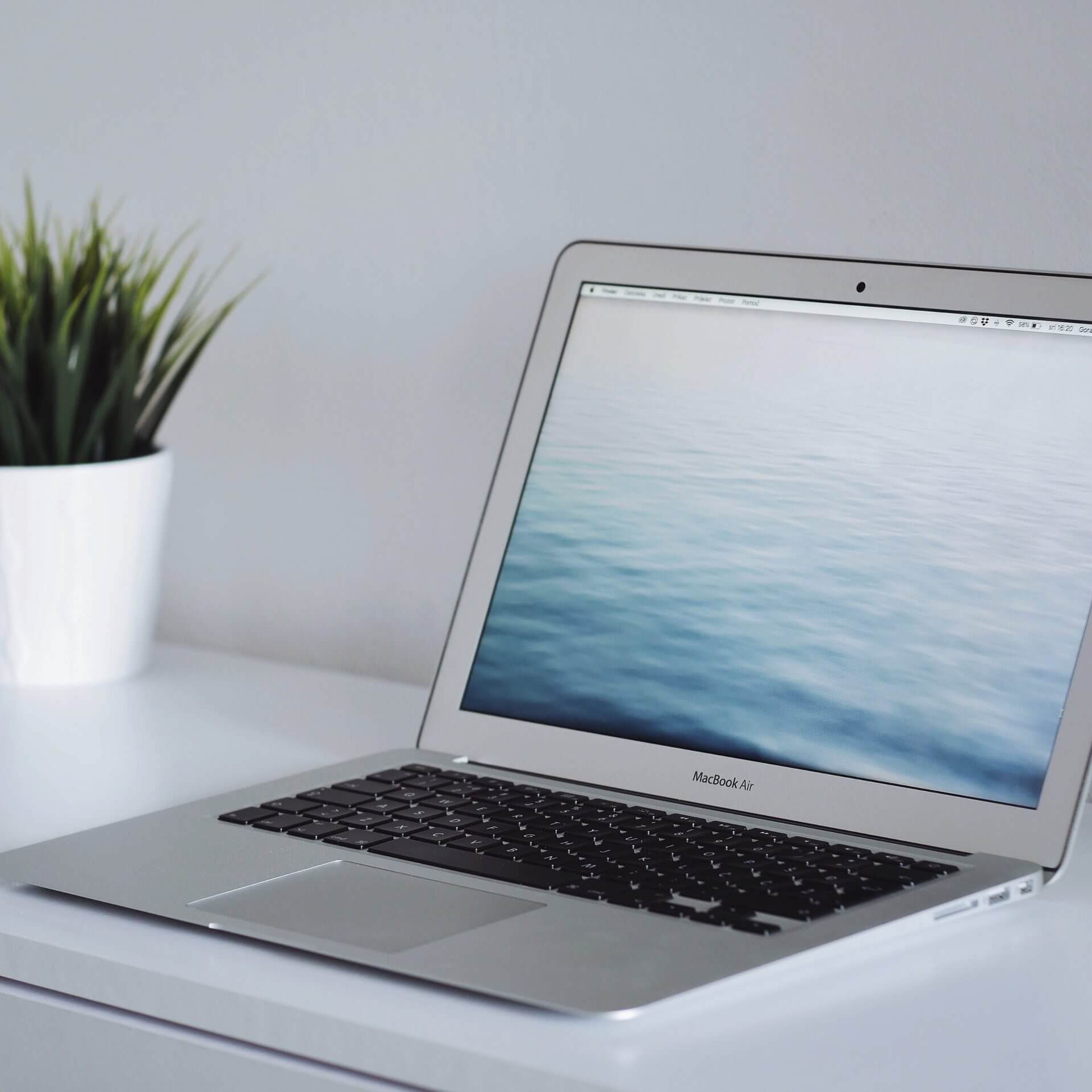 laptop on table beside plant